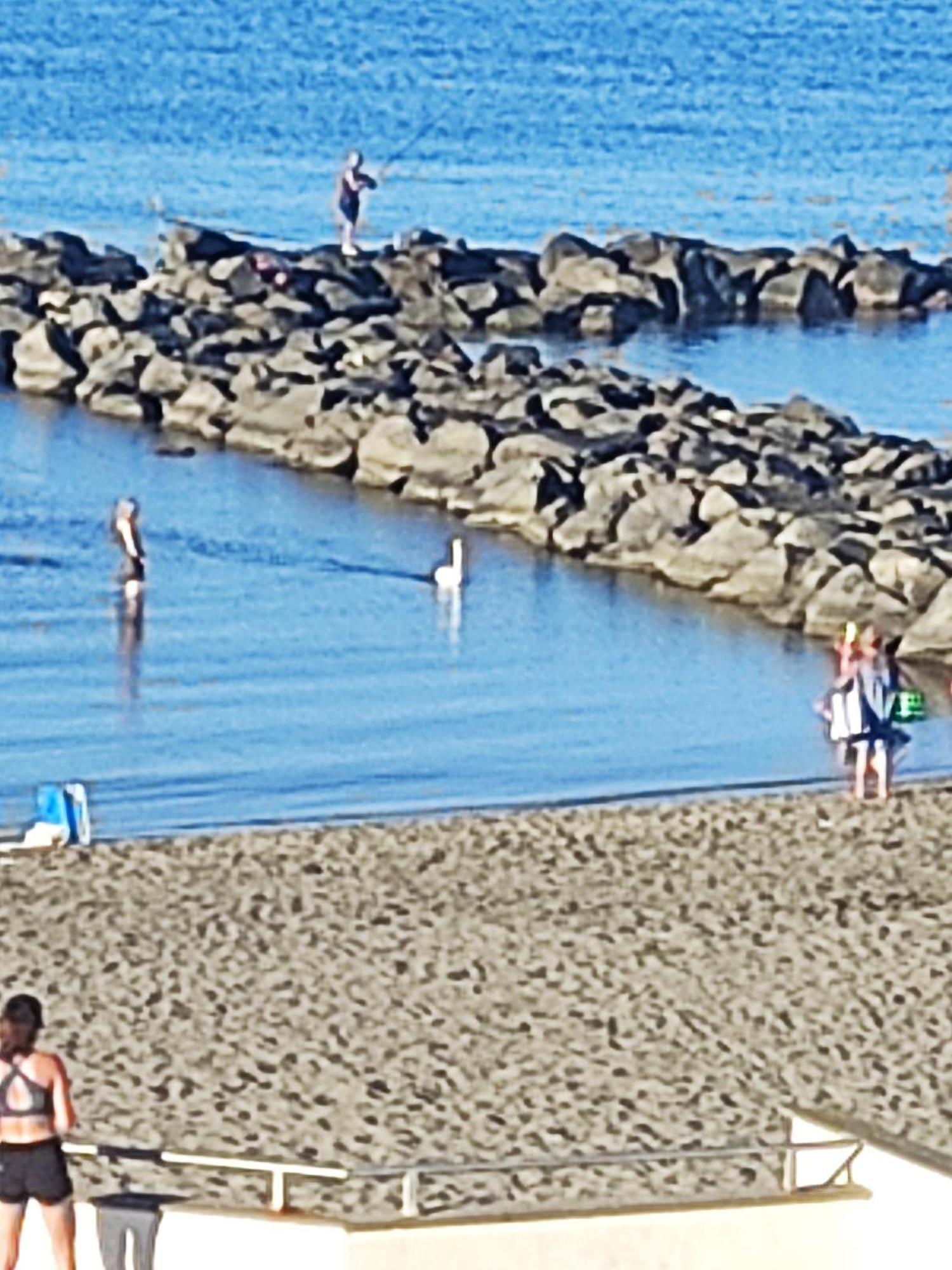 Apartment With Seaview Casa Davidoff Lido di Ostia Luaran gambar